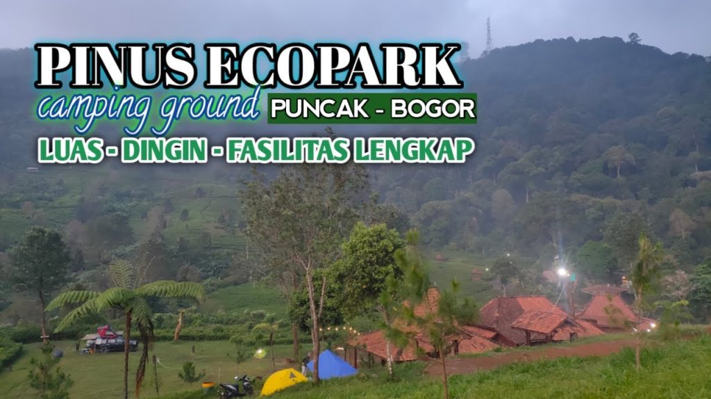 Pramuka Siaga 1 PINUS ECOPARK CAMPING GROUND | SENSASI NGECAMP DI HAMPARAN KEBUN TEH ...